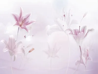 5 самых красивых сортов восточных махровых лилий | Цветанутая Дачница | Дзен