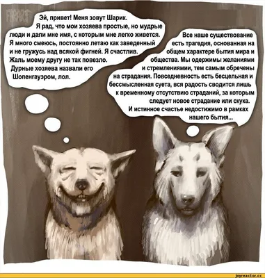 Вспомогательный пояс для ухода за домашними животными, многофункциональный  травмированный собаки для пожилых людей, инвалидов на груди, Reha M3M8 –  лучшие товары в онлайн-магазине Джум Гик
