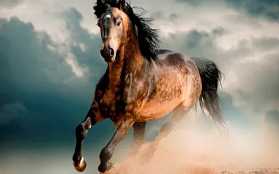 Фризская порода - сильные и красивые лошади» — создано в Шедевруме