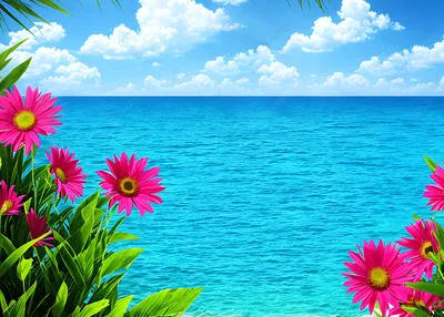 поэтичная и красивая морская сцена летом, природа, пляж, лето фон картинки  и Фото для бесплатной загрузки