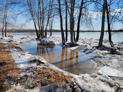 Ранняя Весна - красивые фото