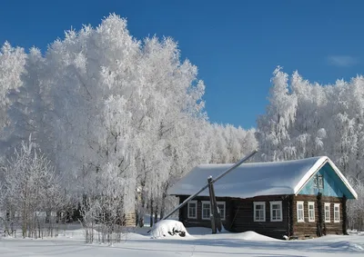 Настоящая русская зима - 48 фото