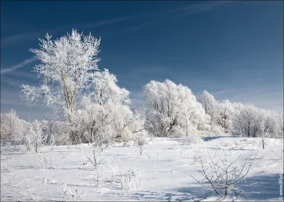 Зима в картинах русских художников - Узнай Россию