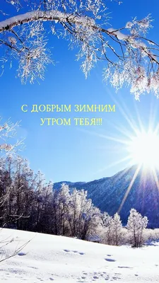 Зимние открытки \"Доброго утра!\" (236 шт.)