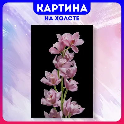 Красивые свежие цветник и текстура с розами, орхидеями, взгляд сверху,  плоским положением Стоковое Фото - изображение насчитывающей гвоздики,  естественно: 124759068