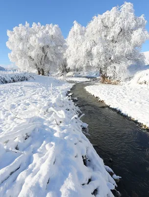 Красивые фото снежной зимы фотографии
