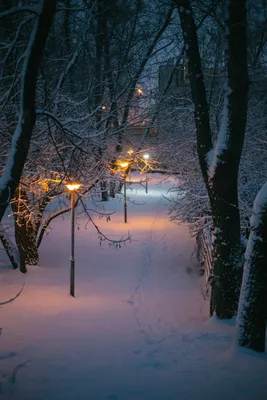 Картинки снег красивые пейзажи (68 фото) » Картинки и статусы про  окружающий мир вокруг