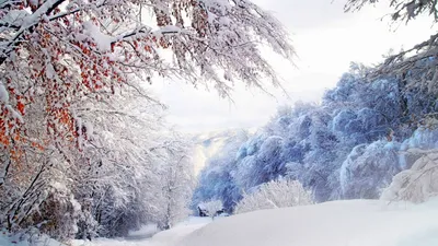 Красивая снежная зима с елочками …» — создано в Шедевруме