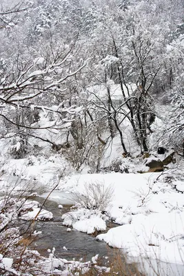 Зима в Турции: самые красивые снежные пейзажи - Фото 1/17 - DS Галерея