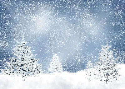 суровый зимний пейзаж красивые снежные ёлки Стоковое Фото - изображение  насчитывающей холодно, льдед: 231562106