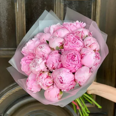 Captivating Cloud of Peonies