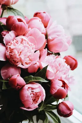Букет из ярких пионов в вазе - заказать доставку цветов в Москве от Leto  Flowers