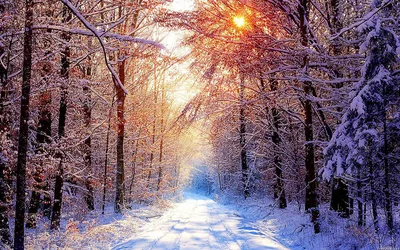 10 Плюсов, что бы сделать LOVE-STORY зимой — Блог фотографа Влада Баринова