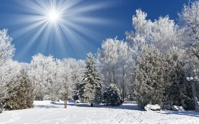 Идеи для фотосессии на природе зимой в преддверии Нового года
