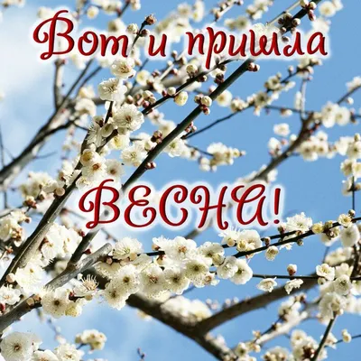 Весна пришла: Приморье окажется в тёплом секторе циклона | ОБЩЕСТВО | АиФ  Владивосток