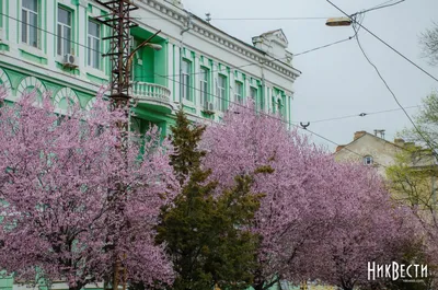 1 марта первый день весны - красивые картинки, поздравления, открытки