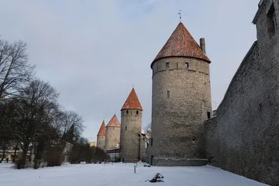 Зимняя фотосессия: идеи, образы, локации