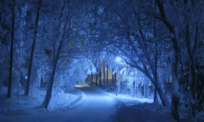 Красивые фото зимы ночью фотографии