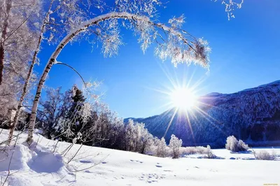 Красивая зима: синоптики прогнозируют отличные выходные - Delfi RU