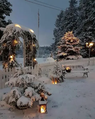 Самые красивые зимние картинки (50 лучших фото)