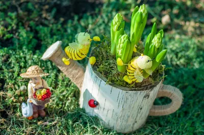 Весенние цветы луковичные гиацинт (59 фото) - 59 фото