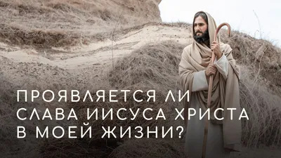 Я видела Иисуса Христа | Жизнь со всех ракурсов | Дзен