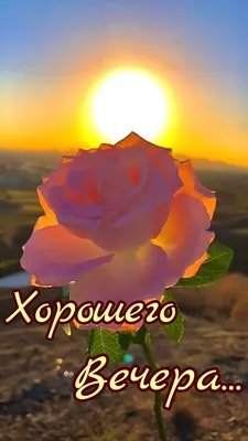 Красивые картинки \"Хорошего дня!\" (340 шт.)