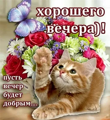 Красивые картинки \"Хорошего дня и отличного настроения!\" (280 шт.)