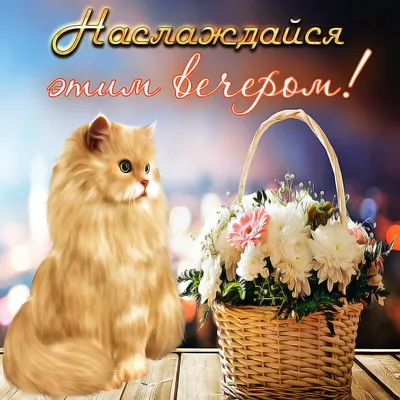 Картинки \"Доброго вечера и спокойной ночи!\" (181 шт.)