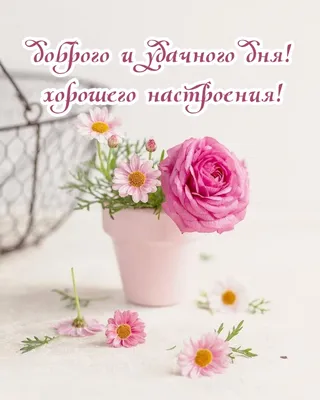 Красивые открытки хорошего вечера с пожеланиями!