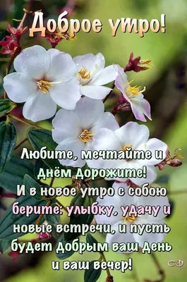 Открытка для любимых и родных нежная Хорошего вечера. Открытки на каждый  день с пожеланиями для родственников.