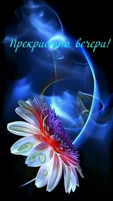 Красивые открытки с пожеланием хорошего вечера для родных и друзей!  Открытка с пушистым мишкой и букетом цветов для... | Страница 1
