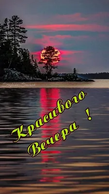 Доброго вечера и хорошего настроения картинки (69 лучших фото)