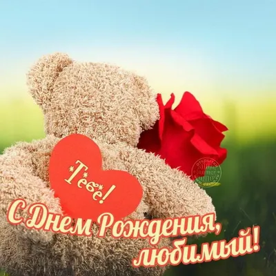 Яндекс Картинки: поиск сайтов с изображением