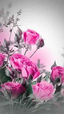 Обои для телефона Цветы - Wallpapers, Flowers, for 7 years kids |  HandCraftGuide