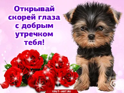 💗☕️🌷Доброе Утро! Хорошего Дня! Заряд Позитива на Весь День!💞 - YouTube