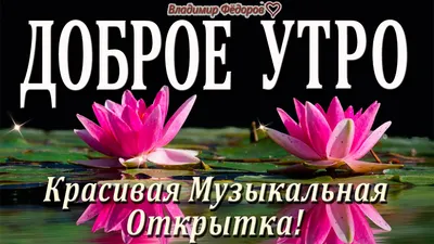 С добрым утром!#видеооткрытка #открыткасдобрымутром#открытка #рекоменд... |  TikTok