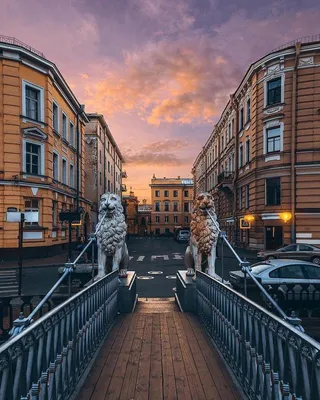 3,744 отметок «Нравится», 9 комментариев — Санкт-Петербург  (@sankt__peterburg) в Instagram: «Львы #питер#мойпит… | Места для  посещения, Красивые места, Путешествия