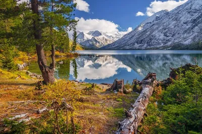 Красивые фото природы из разных регионов России | Единая Россия | Дзен