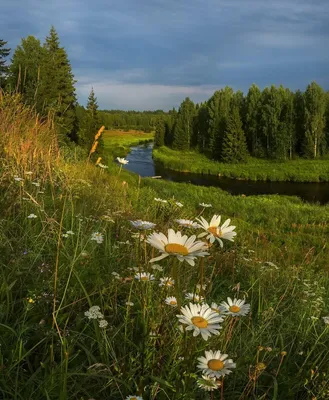Красивая природа россии фото » Прикольные картинки: скачать бесплатно на  рабочий стол