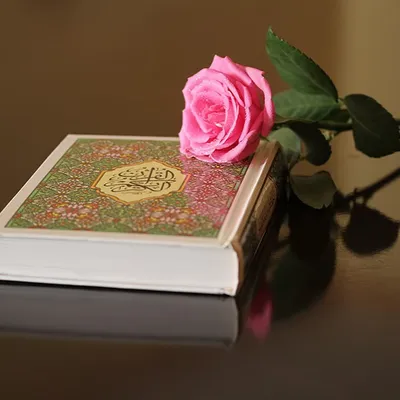 Пин от пользователя س на доске Quran❤ | Священный коран, Ресурсы для  учителей, Коран