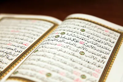 Одна из самых красивых моделей😍🥳 Коран в бархатном переплете, с  позолоченными краями страниц, с декоративными вставками ✓Шрифт: мединский …  | Instagram