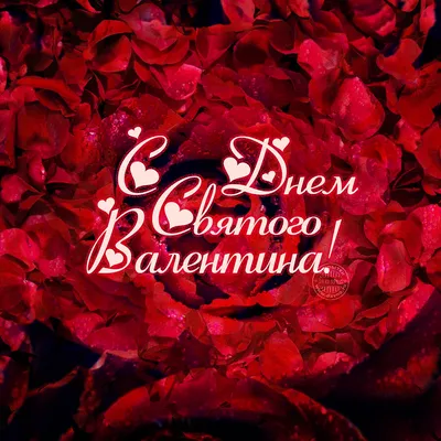 https://echonedeli.ru/social/prazdniki/3263-samyj-romantichnyj-prazdnik-den-vseh-vljublennyh-14-fevralja-trogatelnye-otkrytki-i-krasivye-stihi-dlja-ljubimyh.html
