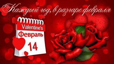 Цветы и подарки к 14 февраля! | Арт-Флора