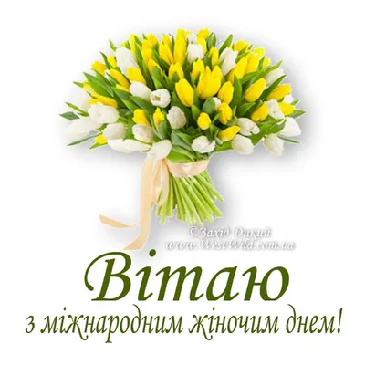 SINCE MARCH 8, LOVELY WOMEN! - YouTube