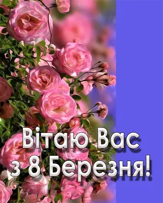 Поздравляем всех женщин с 8 Марта!