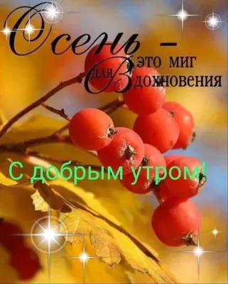 Осенние открытки доброго утра - самые красивые картинки для мотивации и  хорошего настроения