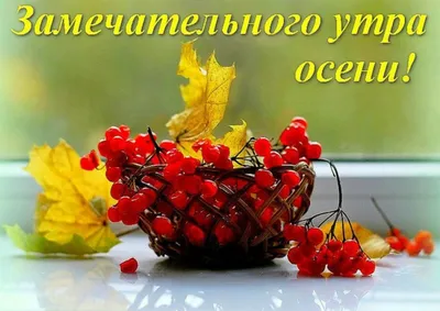 Пожелания доброе осеннее утро на открытках на украинском языке – Женский  журнал Modista