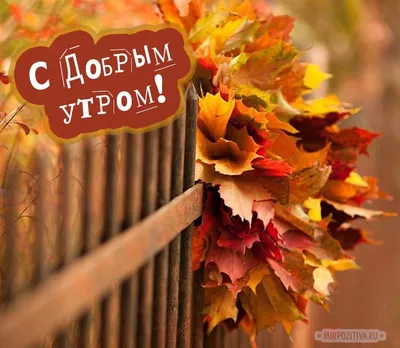 С Добрым Осенним Утром! Пусть день будет солнечным и теплым! Красивая  песня! - YouTube