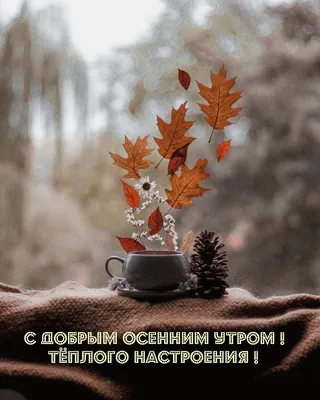 С добрым осенним утром APK for Android Download
